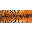 FUßMATTE 75/190 cm Tiger Orange, Schwarz - Schwarz/Orange, Kunststoff/Textil (75/190cm) - Esposa FUßMATTE 75/190 cm Tiger Orange, Schwarz - Schwarz/Orange, Kunststoff/Textil (75/190cm) - Esposa