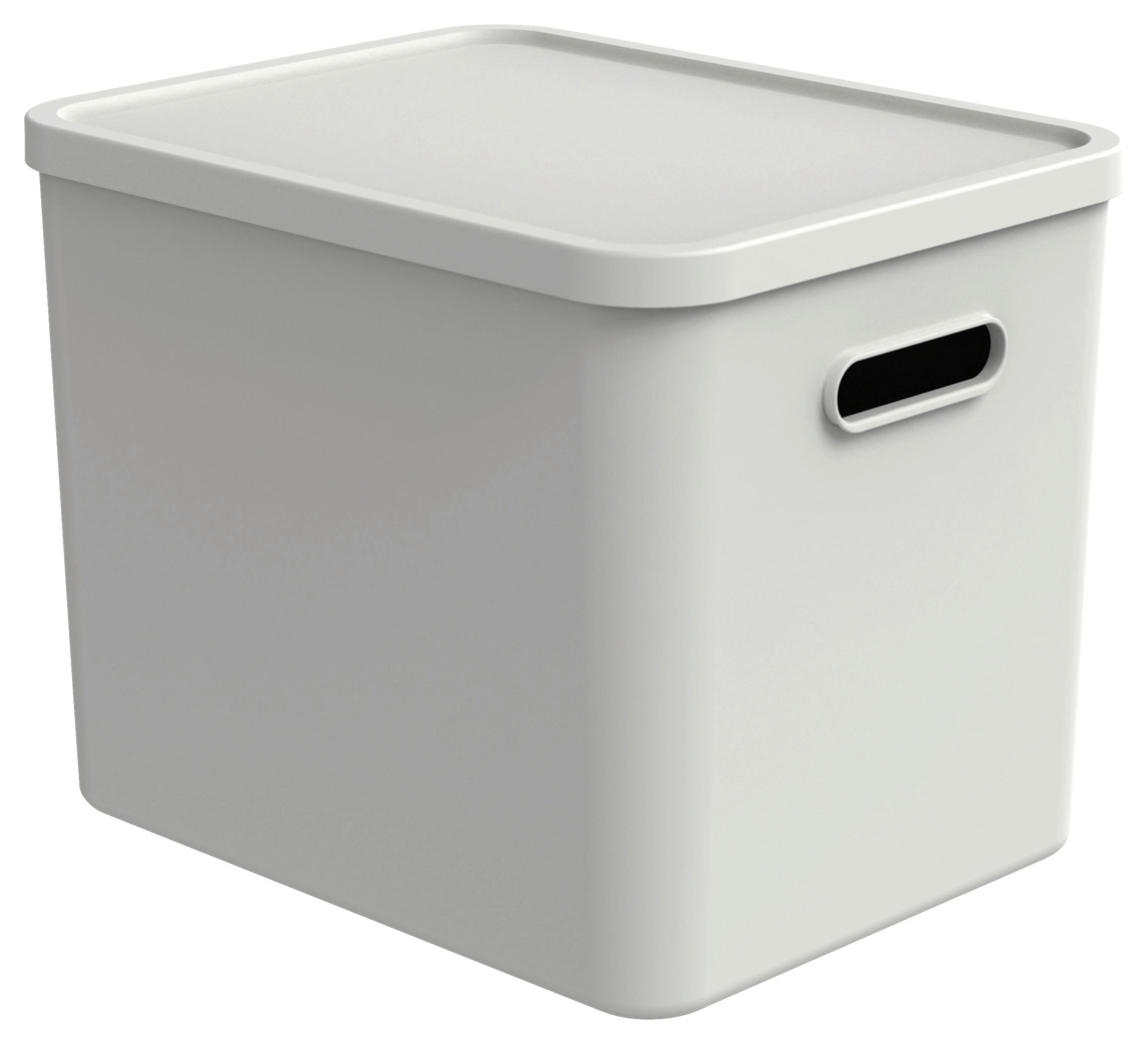 AUFBEWAHRUNGSBOX    37/29/29,5 cm  - Weiß, KONVENTIONELL, Kunststoff (37/29/29,5cm) - Rotho