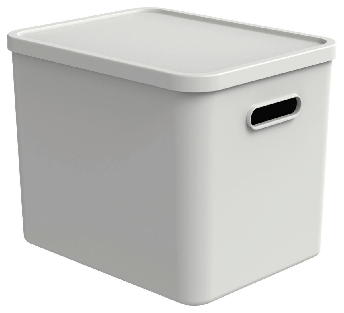 AUFBEWAHRUNGSBOX    37/29/29,5 cm  - Weiß, KONVENTIONELL, Kunststoff (37/29/29,5cm) - Rotho