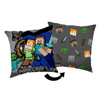 DETSKÝ VANKÚŠ 40/40 cm - Design, textil (40/40cm)