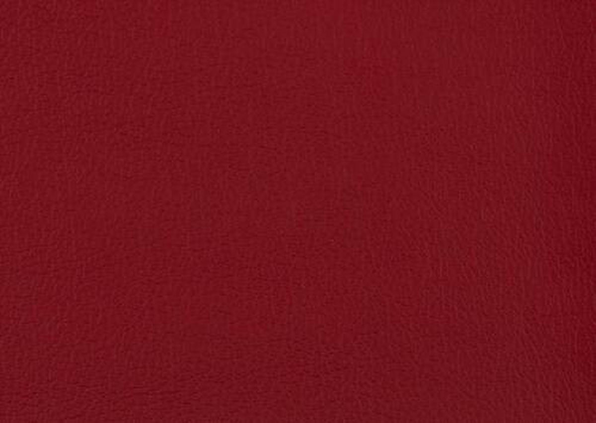 RELAXSESSEL in Leder Rot  - Edelstahlfarben/Rot, Design, Leder/Metall (75/106/88cm) - Dieter Knoll