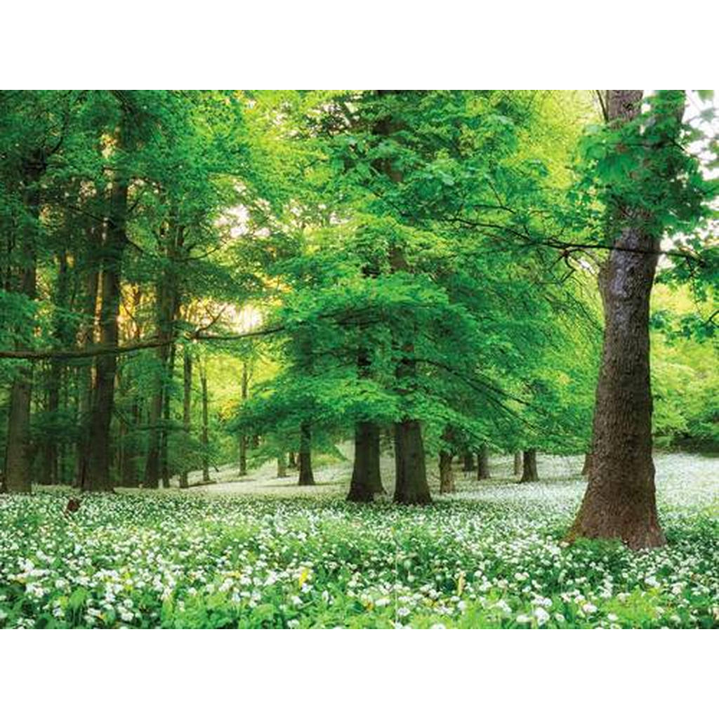 Euroart OBRAZ NA SKLE, stromy, 30/40 cm - vícebarevná