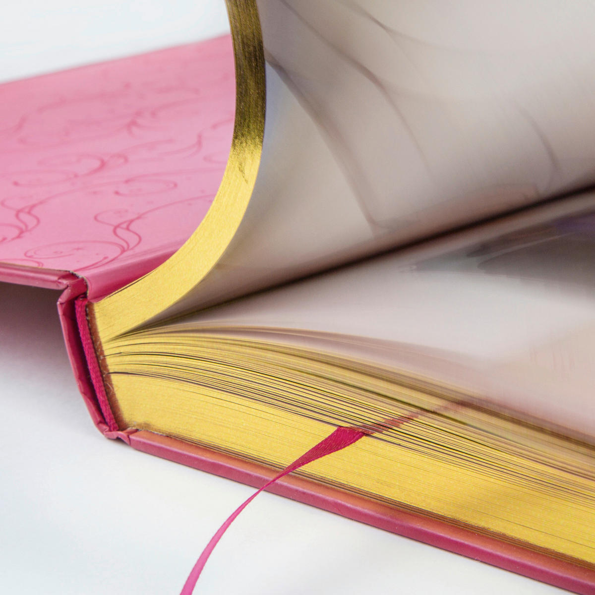 BUCH - Basics (24,4/31,8/3,2cm) - Carlsen