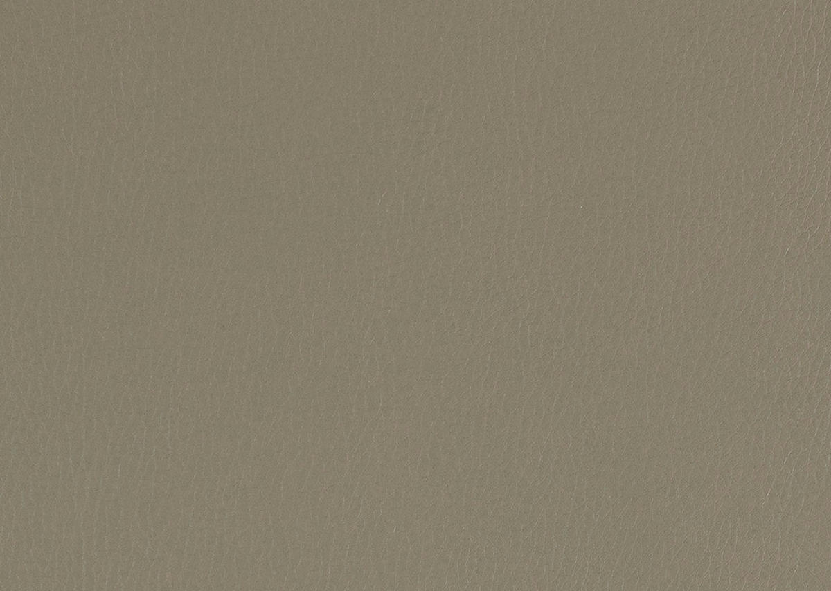 POLSTERBETT 160/200 cm  in Braun  - Weiss/Silberfarben, Konventionell, Holz/Textil (160/200cm) - Esposa