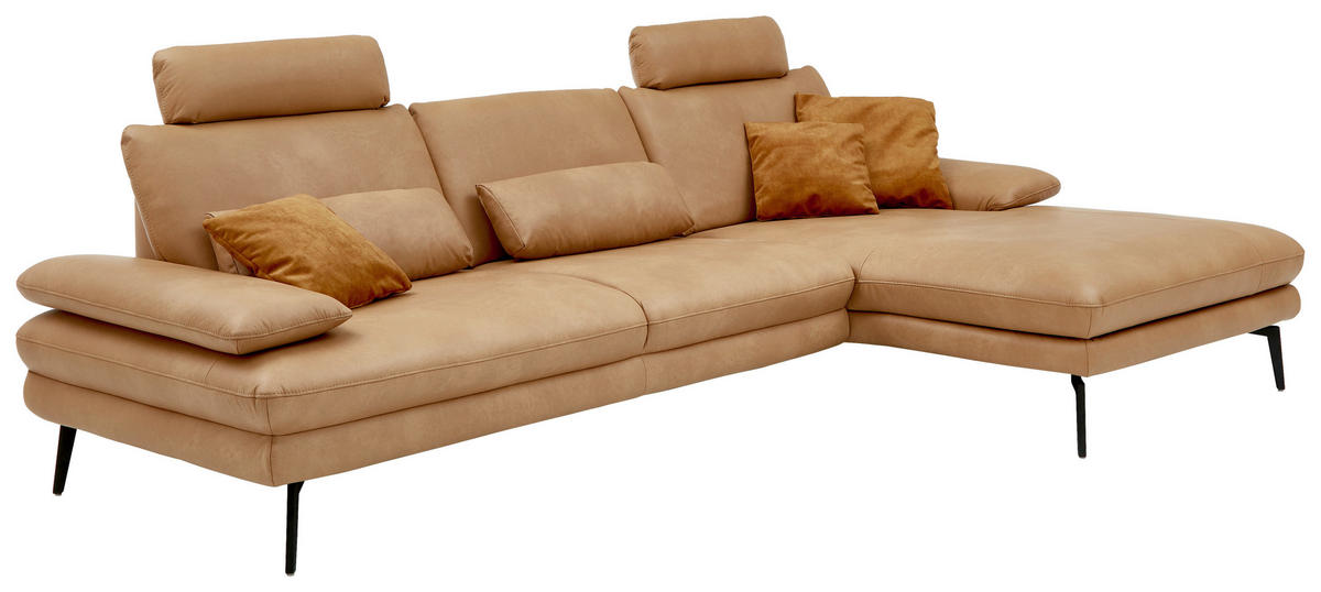ECKSOFA Honig Echtleder  - Schwarz/Honig, Design, Leder/Metall (310/180cm) - Dieter Knoll