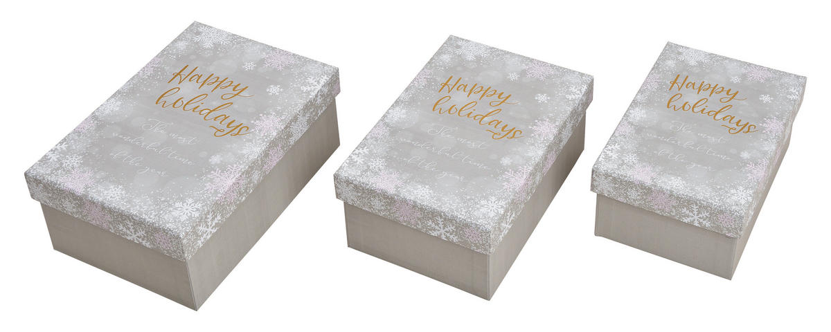GESCHENKBOXENSET   Silberfarben  - Silberfarben, KONVENTIONELL, Papier (22/8/14cm)