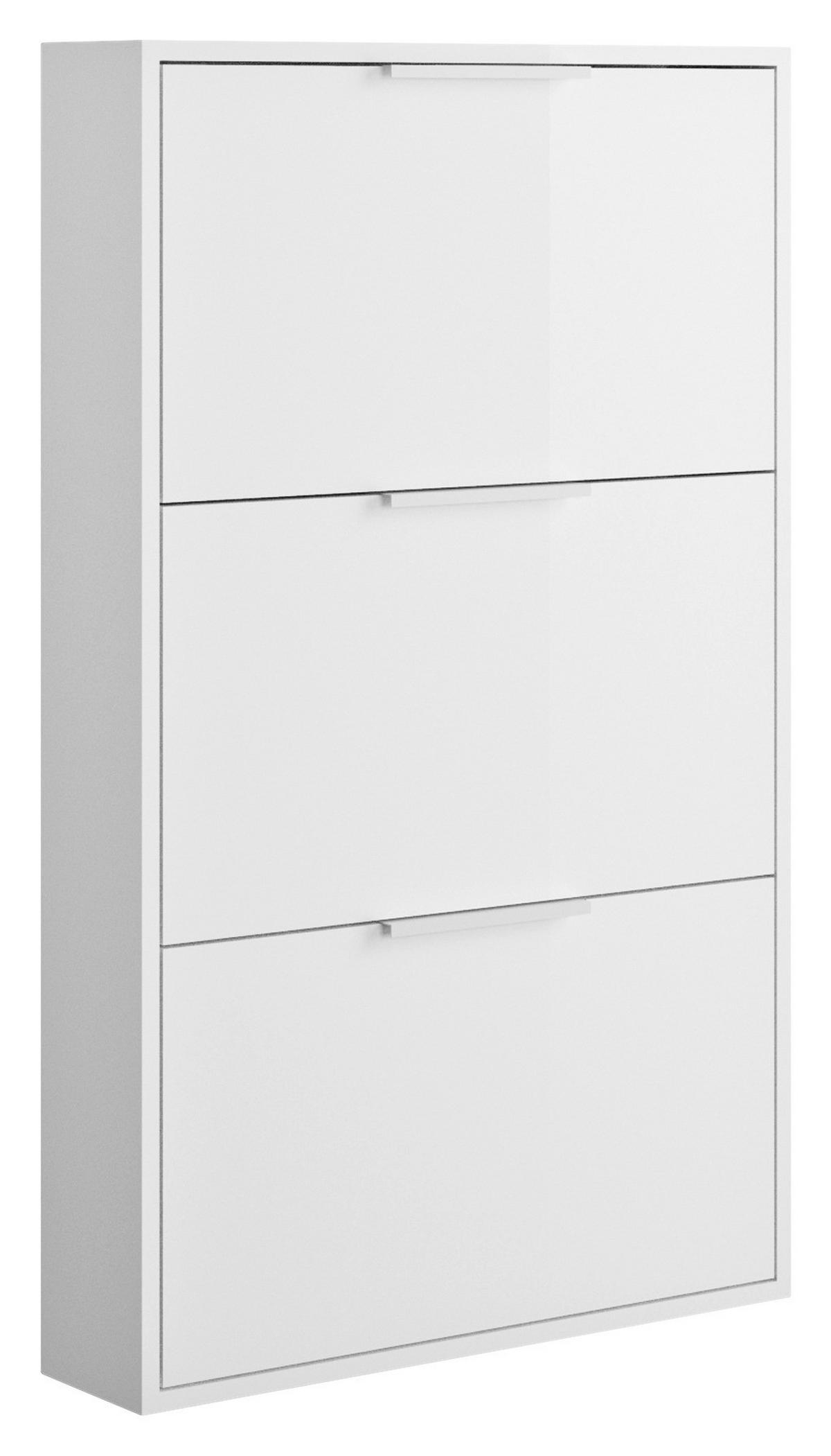 OMARA Z LOPUTAMI ZA ČEVLJE bela, visoki sijaj - bela/visoki sijaj, Design, leseni material (65/105,5/15cm) - Carryhome