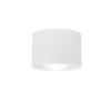 LED-SPOTKOPF Puk 8,5/6 cm  - Weiß, Design, Metall (8,5/6cm) - Novel