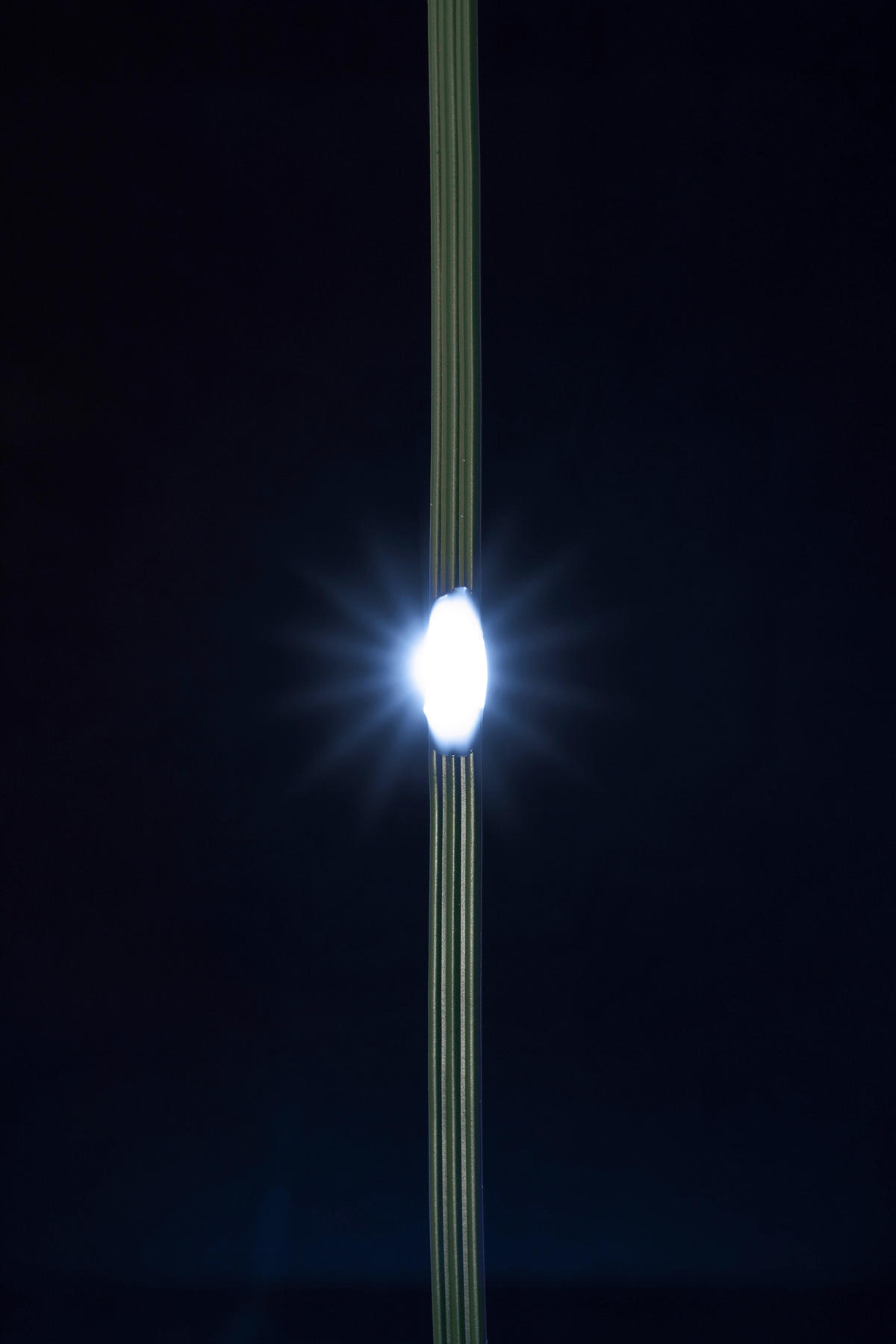 FÉNYFÜZÉR - fehér, Basics, műanyag (1800cm)