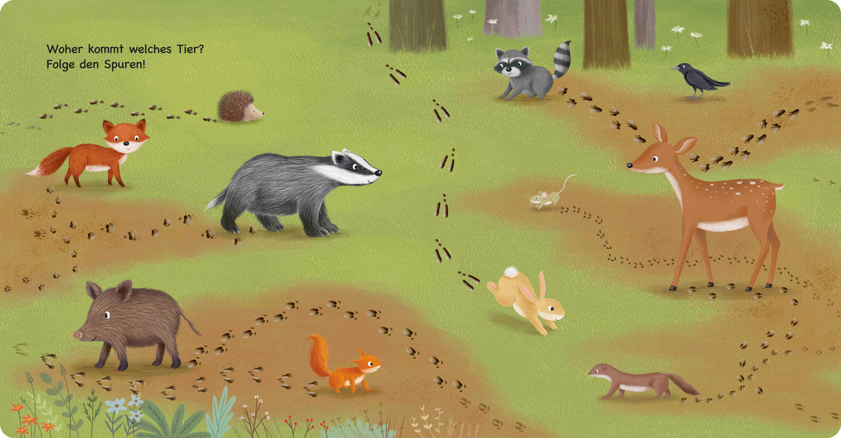 WIMMELBUCH Tiere im Wald  - Multicolor, Basics, Papier (23,5/24,5/1,6cm)