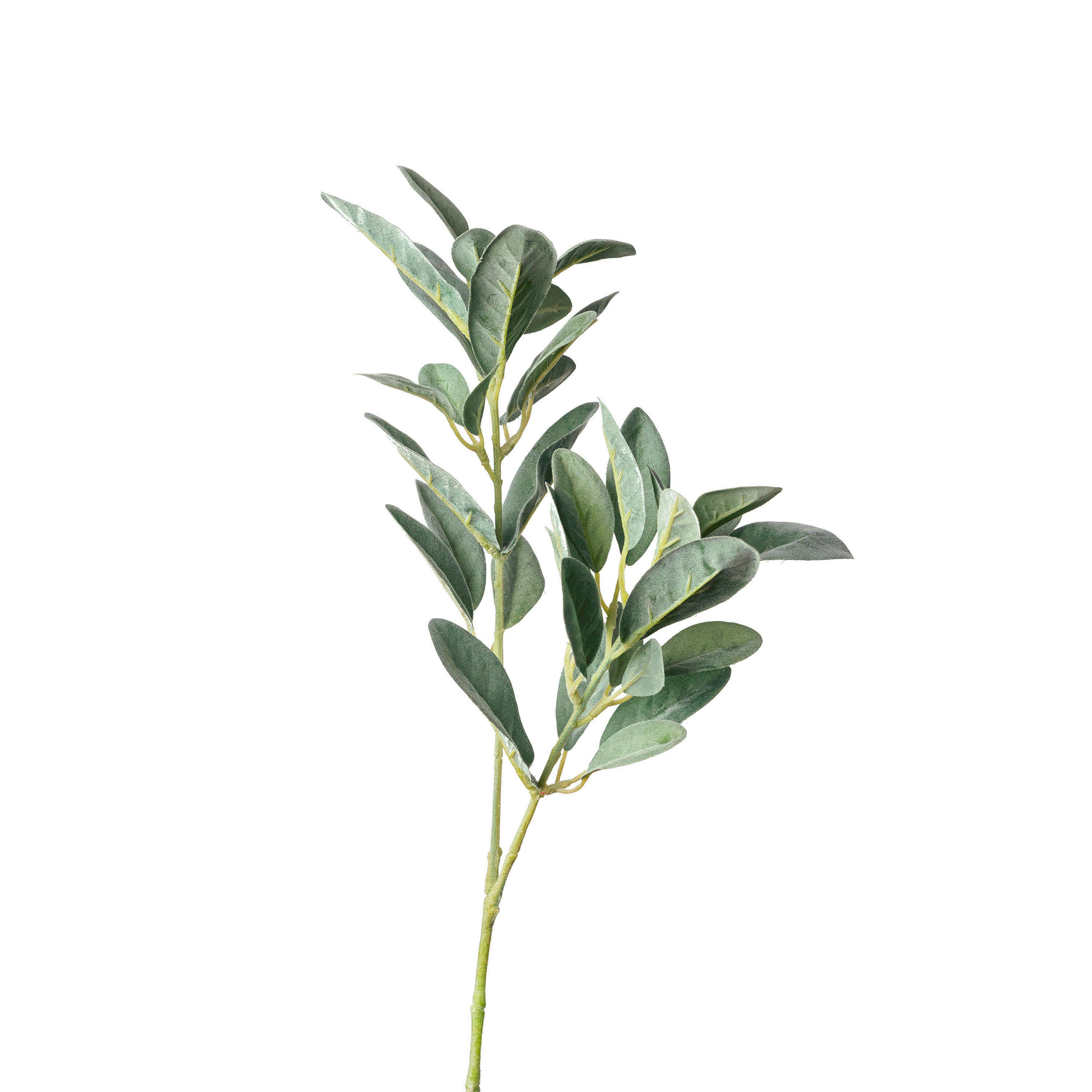 RAMURĂ DECORATIVĂ - verde, Basics, plastic (75cm)