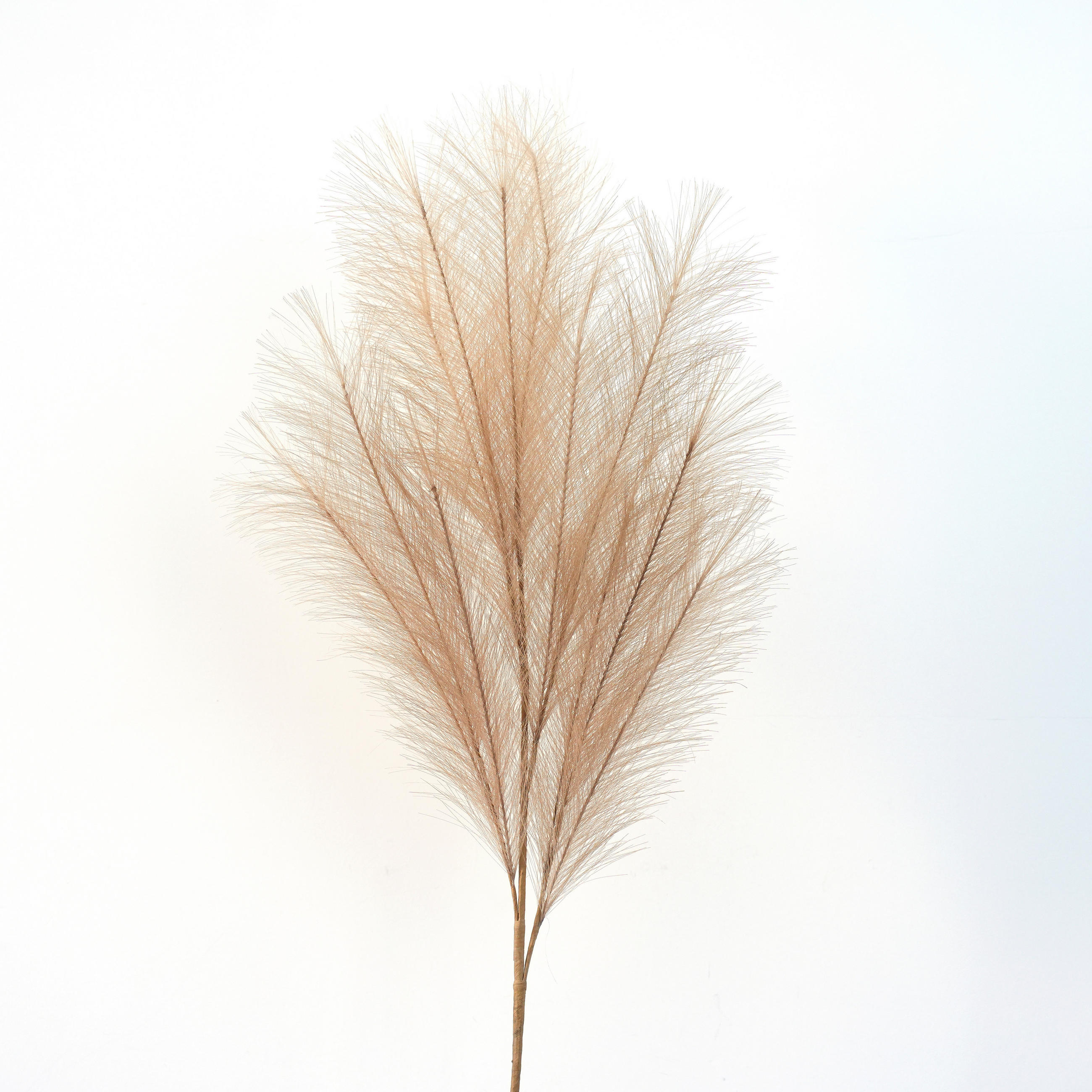 KUNSTPFLANZE Pampasgras  - Naturfarben, Basics (68cm)