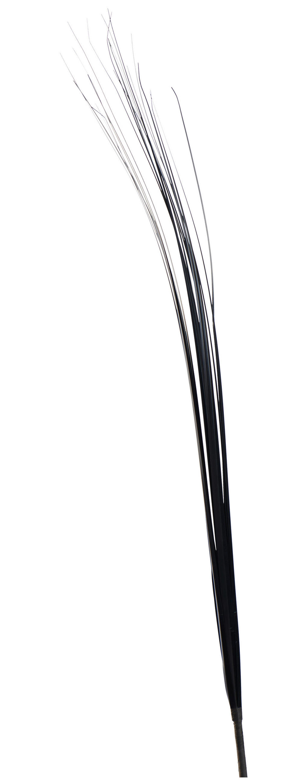 Kunstpflanze Graszweig Schwarz L: 85 Cm, Aglaia