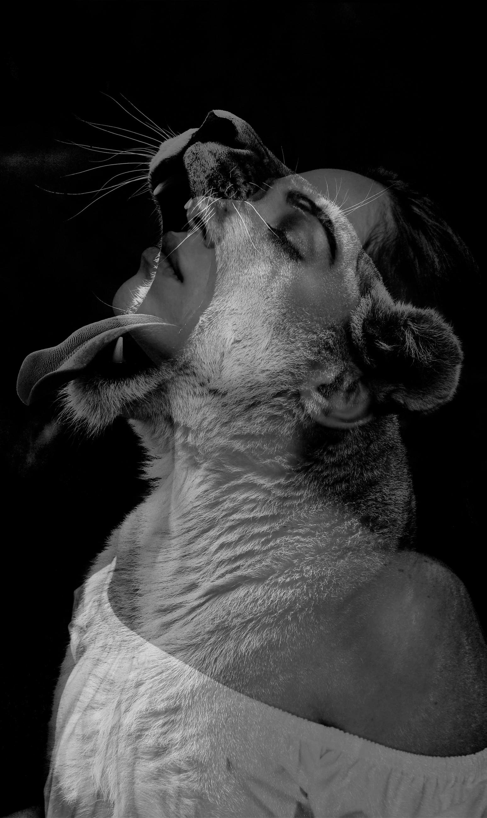 ALUMINIUMBILD Tiere, Frauen 70/118 cm  - Schwarz, Design, Metall (70/118cm) - Wandkraft