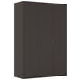DREHTÜRENSCHRANK 151/223/61 cm,  in Graphitfarben, 3-türig  - Graphitfarben, Basics, Holzwerkstoff/Metall (151/223/61cm) - Novel