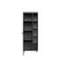 MIDISCHRANK Graphitfarben - Chromfarben/Silberfarben, Design, Glas/Holzwerkstoff (45/122/35cm) - Carryhome MIDISCHRANK Graphitfarben - Chromfarben/Silberfarben, Design, Glas/Holzwerkstoff (45/122/35cm) - Carryhome