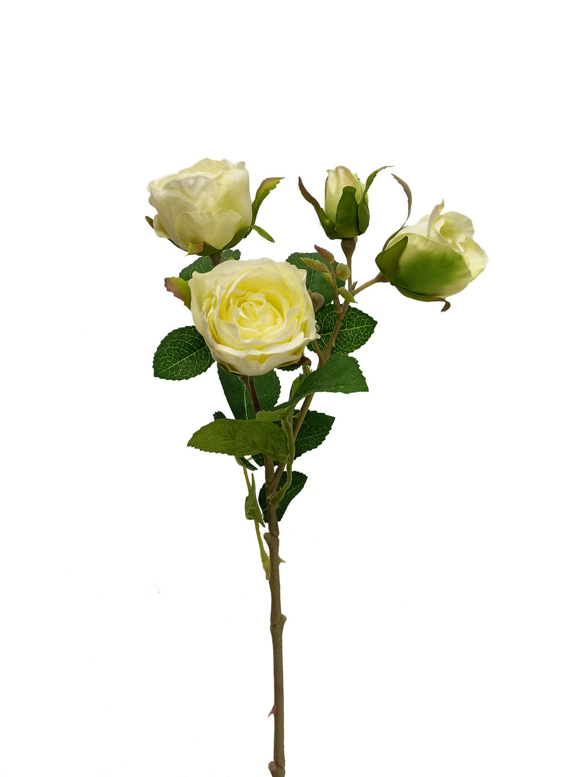 KUNSTBLUME - Creme/Grün, Basics, Kunststoff (38cm)