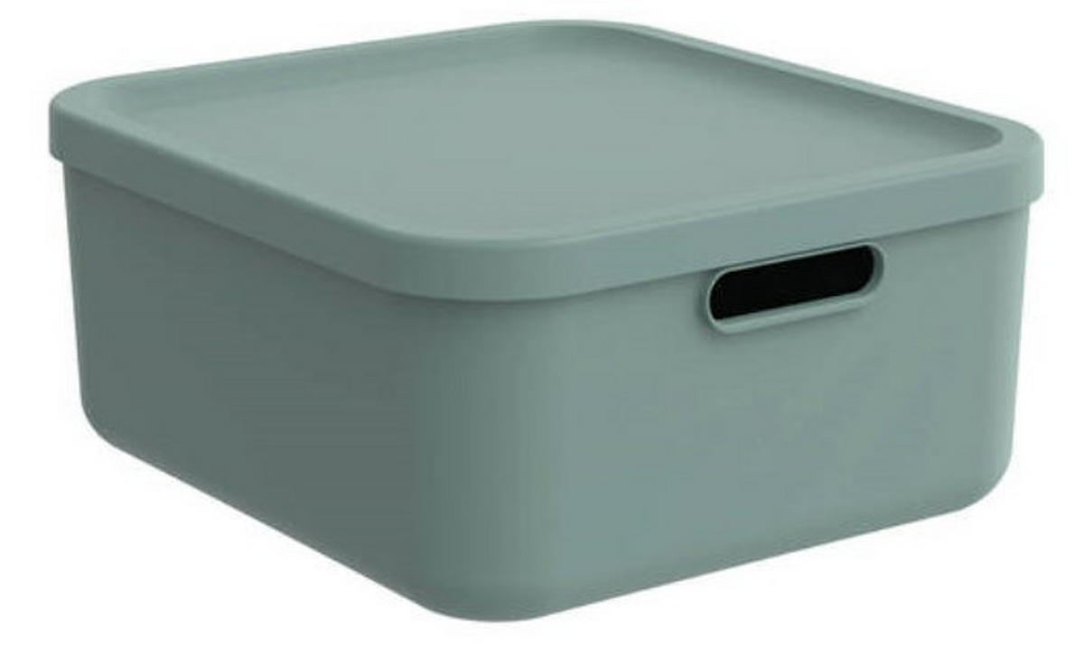 DOBOZ TETŐVEL 39,5/23,5/17,7 cm  - fehér, Basics, műanyag (39,5/23,5/17,7cm) - Rotho