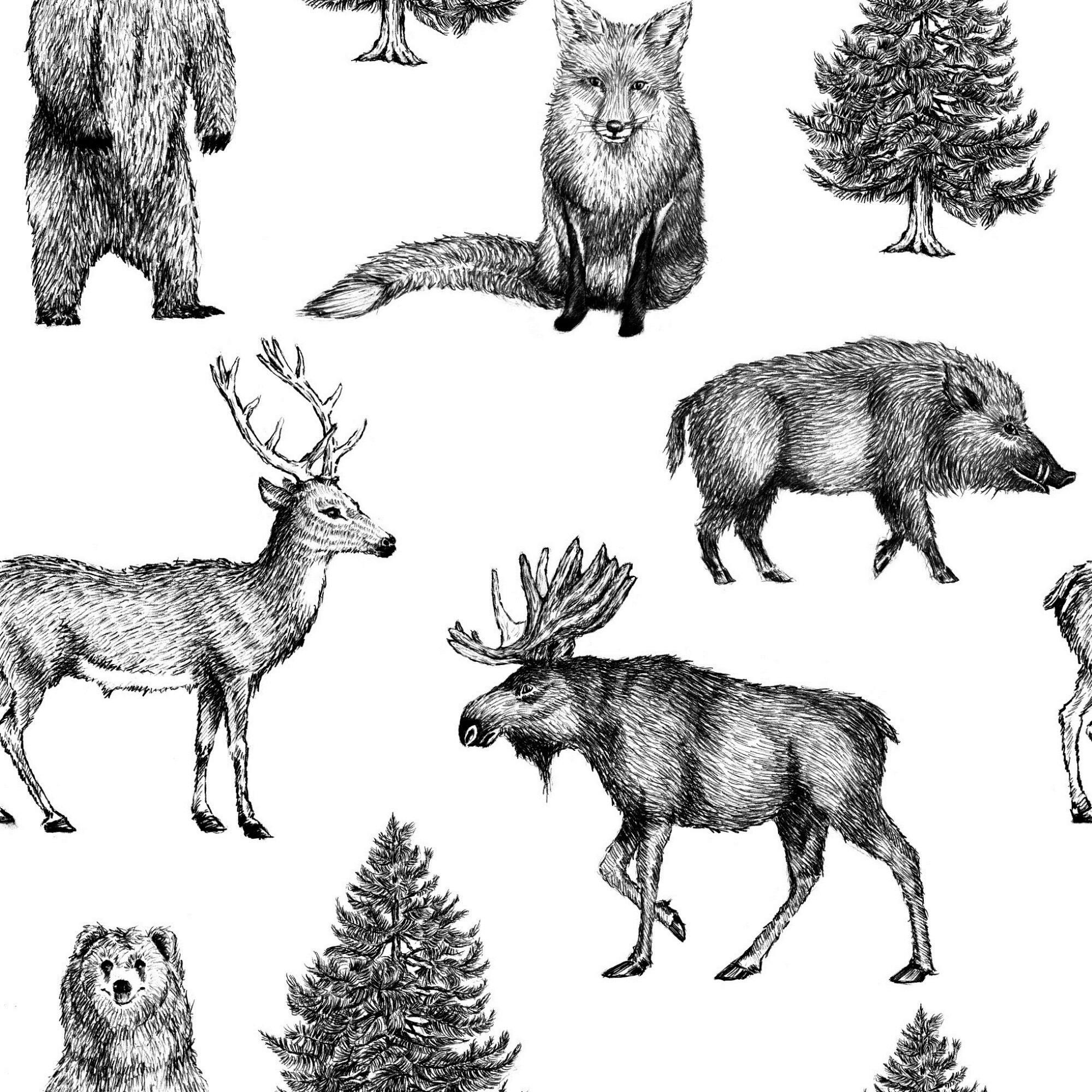 NON WOVEN-TAPET 52/1000 cm  - vit/svart, Basics, papper/plast (52/1000cm)