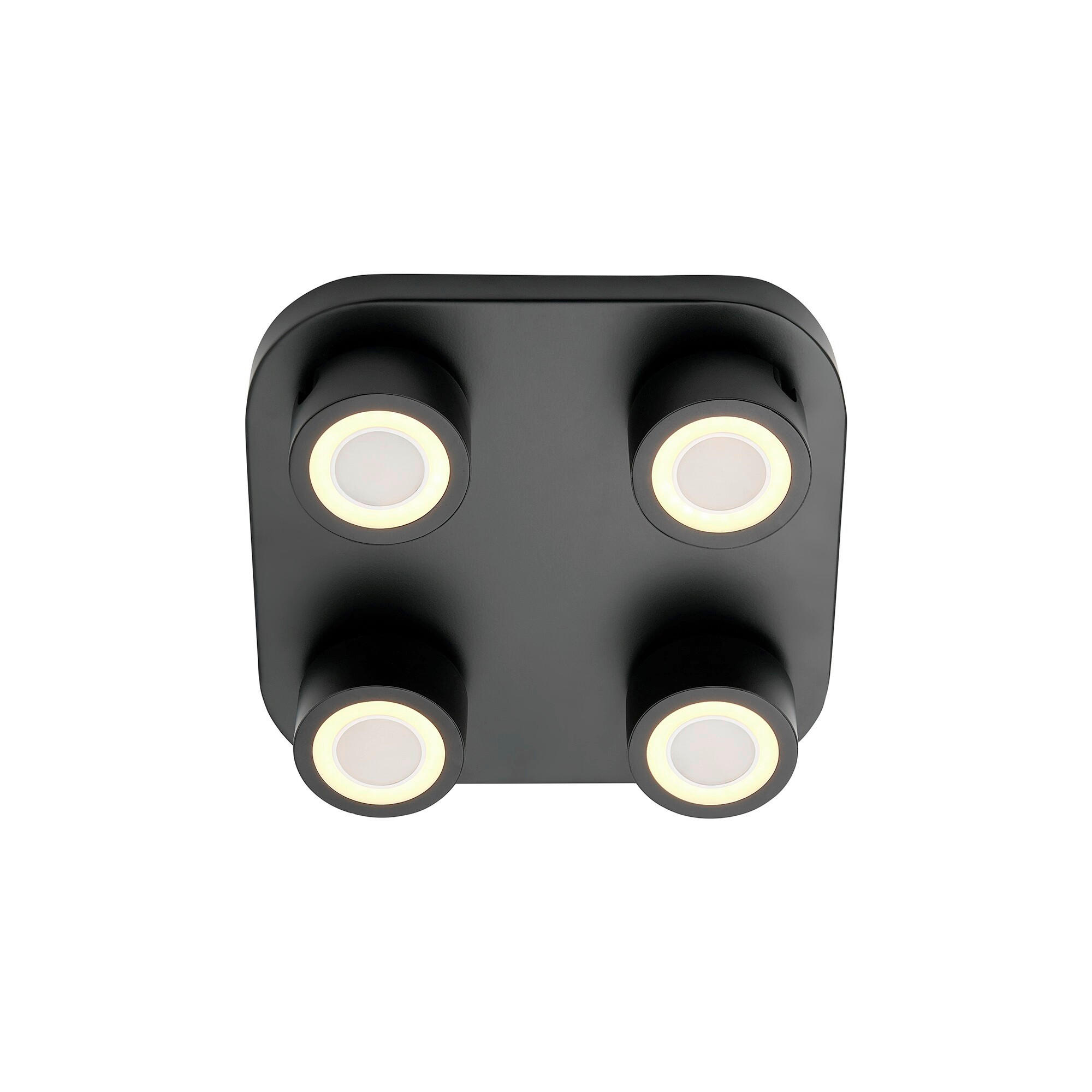 DECKENLEUCHTE Clyde 7.5/28/28 cm  - Schwarz, Design, Metall (7.5/28/28cm) - Nordlux