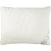 POLSTER 60/80 cm  Kleiner Prinz  - Champagner, Basics, Textil (60/80cm) - Schlafmond