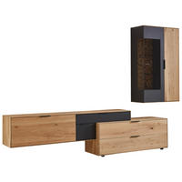 WOHNWAND 3-teilig  in Schwarz, Eichefarben  306,2/209,8/45,2 cm  - Eichefarben/Schwarz, Design, Glas/Holz (306,2/209,8/45,2cm) - Valdera