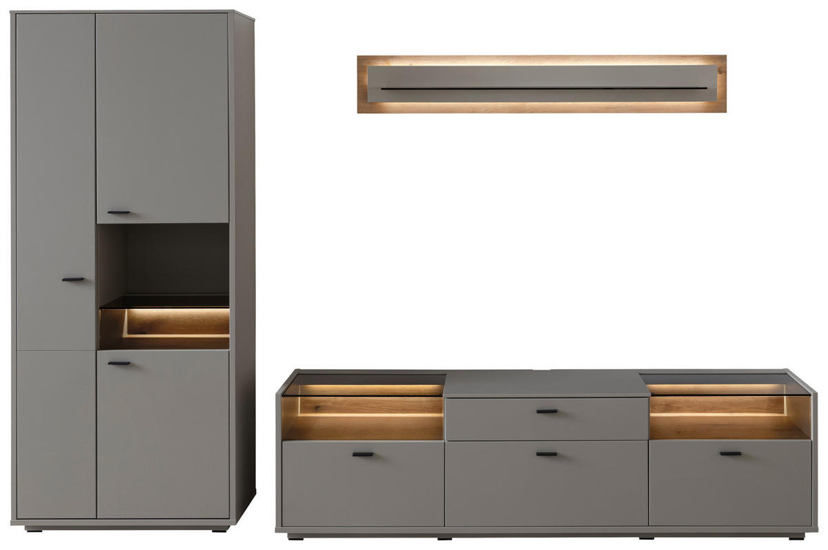 REGAL ZA DNEVNI BORAVAK siva, boje hrasta   - siva/boje hrasta, Design, staklo/drvni materijal (301/200/44cm) - Stylife