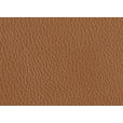 RELAXSESSEL in Leder Cognac  - Cognac/Beige, Design, Leder/Metall (92/79/82cm) - Dieter Knoll