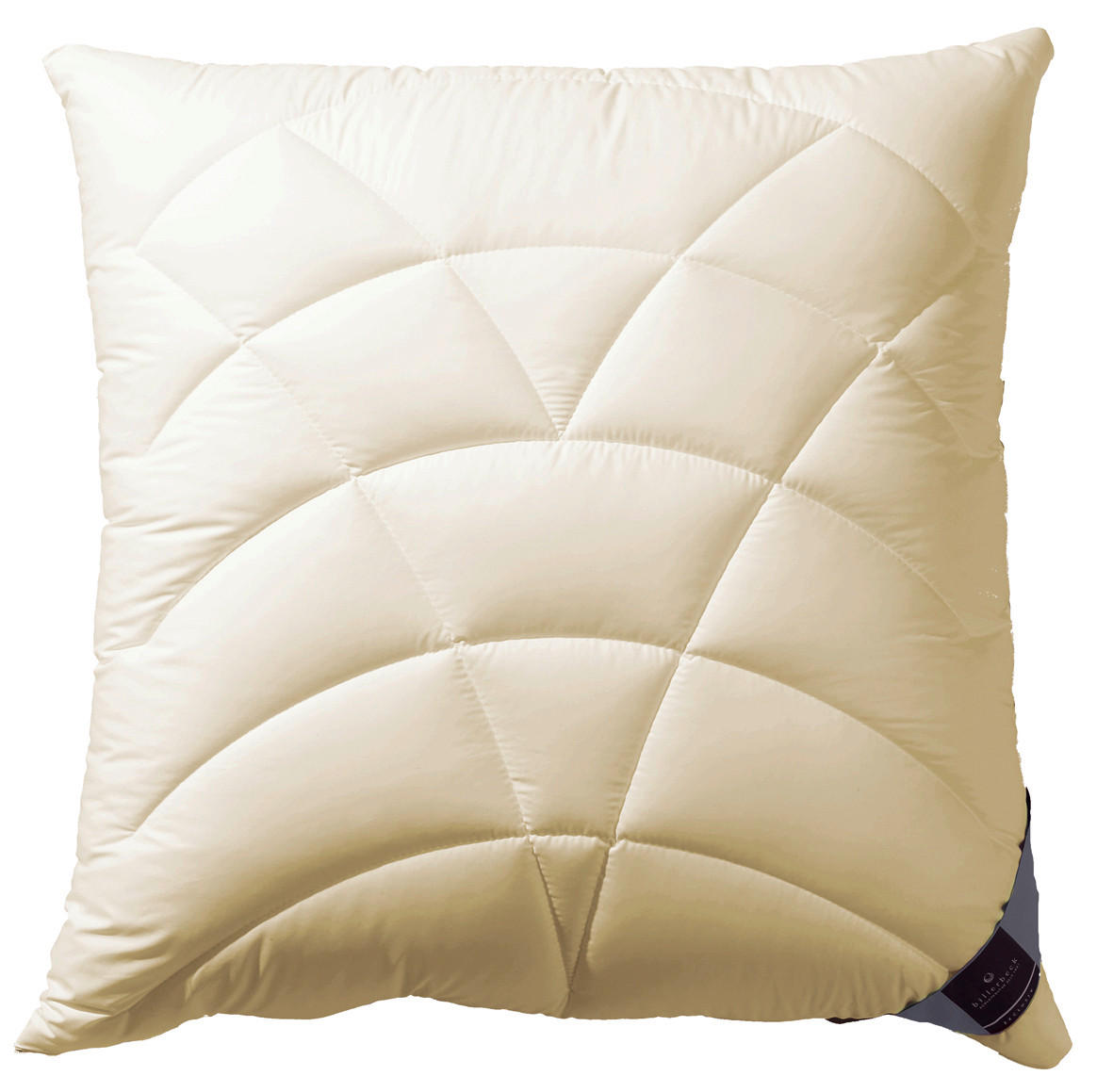 POLSTER 70/90 cm  Climatraum  - Champagner, Basics, Textil (70/90cm) - Billerbeck