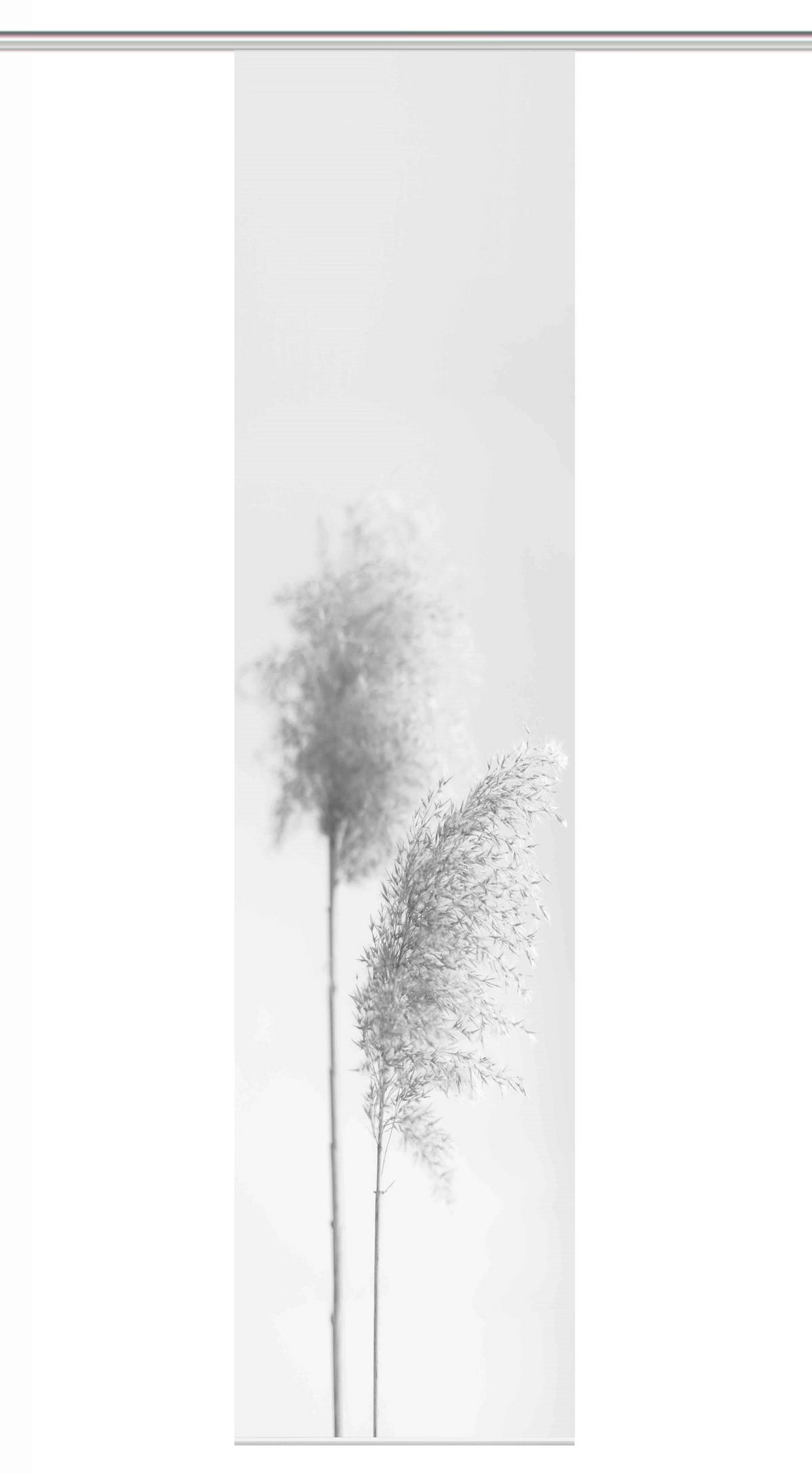 FLÄCHENVORHANG   halbtransparent   60/260 cm  - Grau, Natur, Textil (60/260cm)