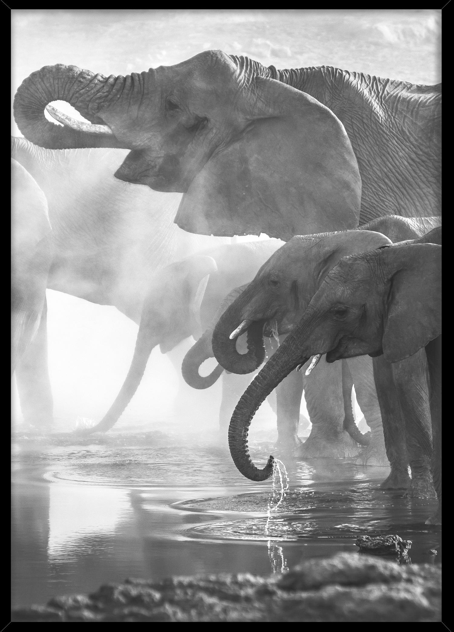 Keilrahmenbild 50/70 cm