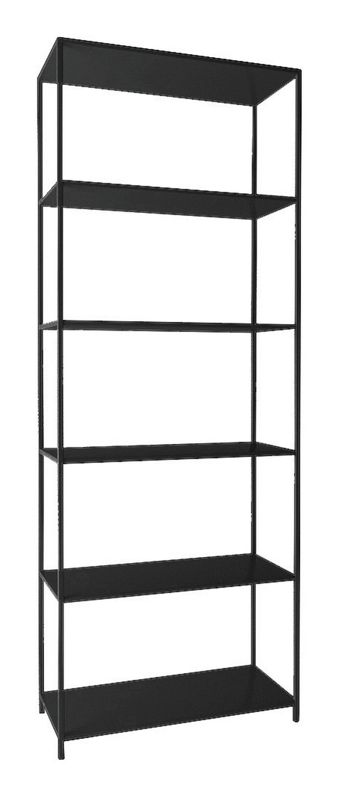 REGAL Schwarz  - Schwarz, Trend, Metall (69,5/185/30cm) - MID.YOU