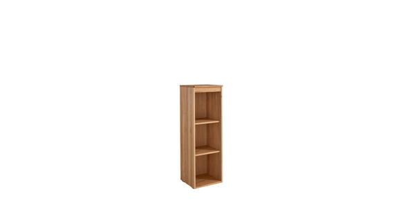 AKTENREGAL Asteiche massiv Eichefarben - Eichefarben, KONVENTIONELL, Holz (40/121/39cm) - Linea Natura