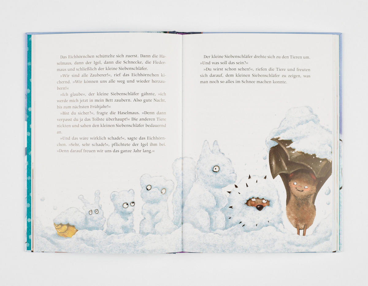 KINDERBUCH Eine Pudelmütze voller Wintergeschichten  - Multicolor, Basics, Papier (17,6/24,6/1,6cm)