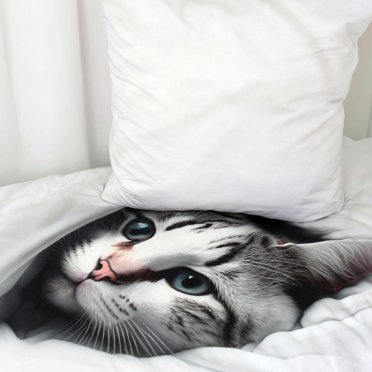 JUGENDBETTWÄSCHE KATZE Renforcé 135/200 cm  - Schwarz/Weiß, Basics, Textil (135/200cm) - Herding