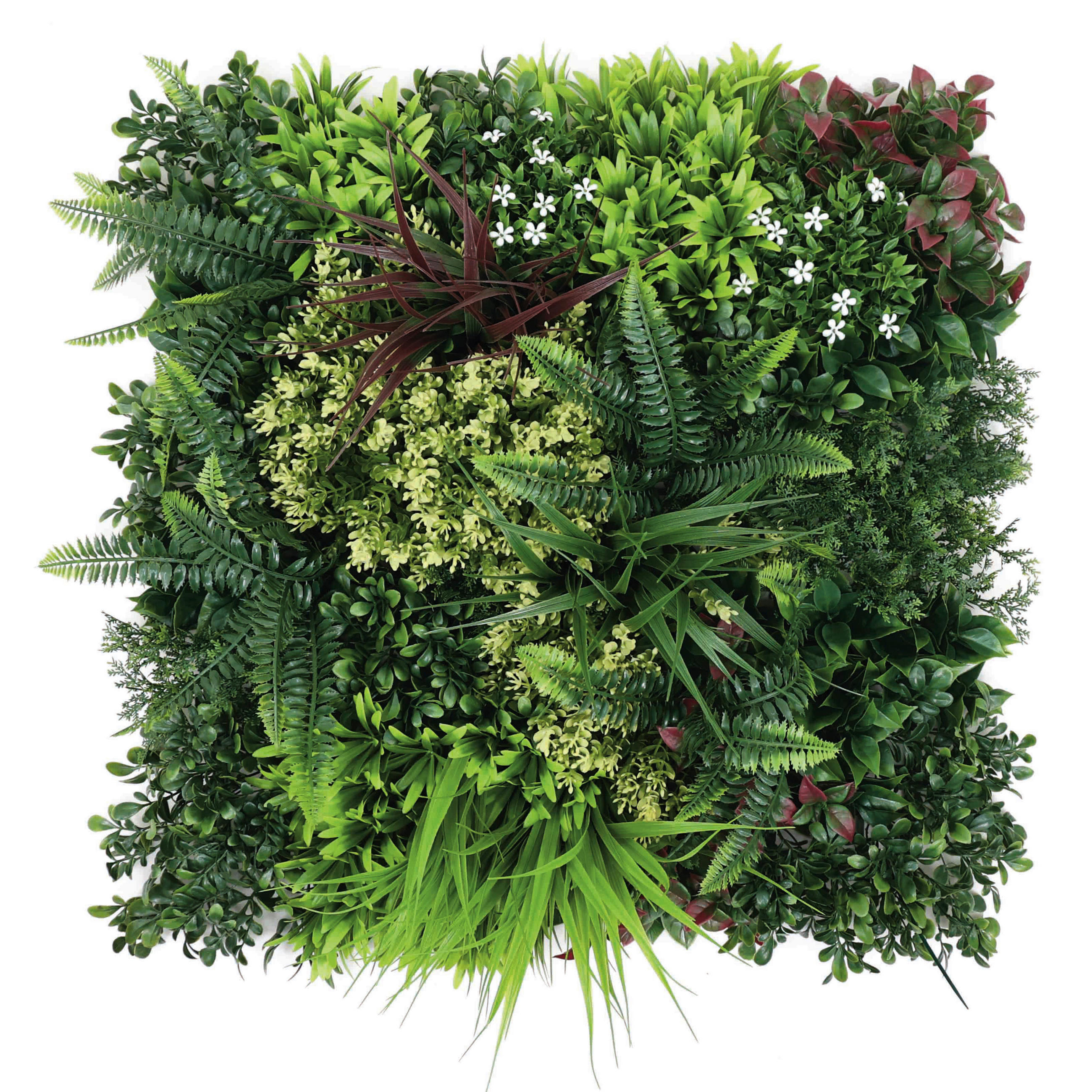 DEKOGRAS  - Grün, Basics, Kunststoff (50/50/5cm) - Ambia Home
