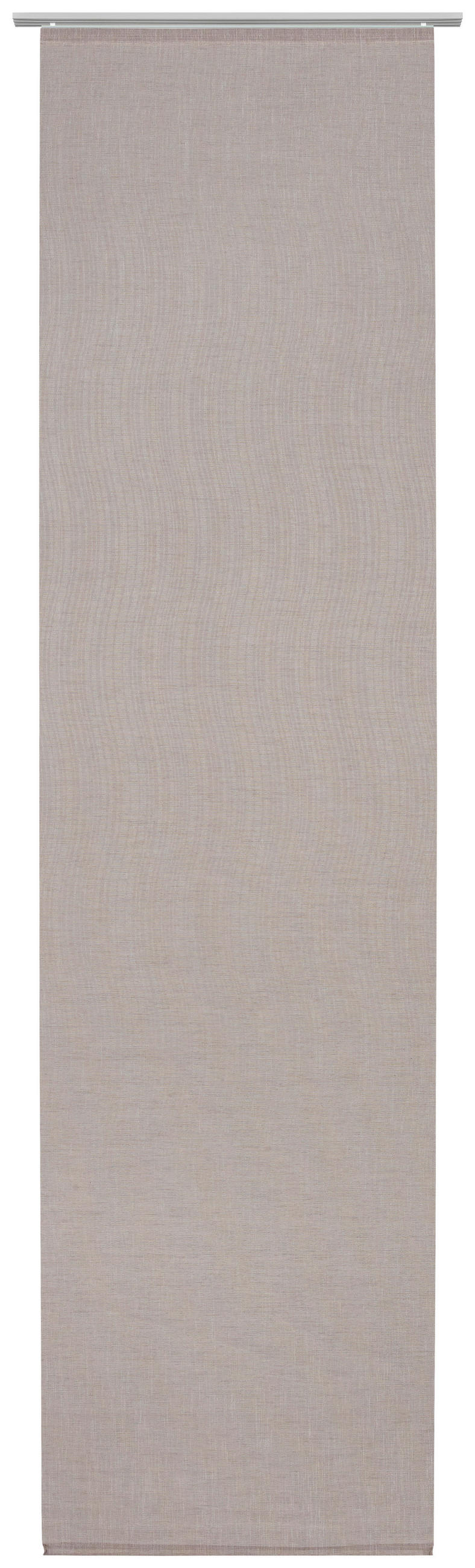 FLÄCHENVORHANG   transparent   60/245 cm  - Braun, Design, Textil (60/245cm) - Novel