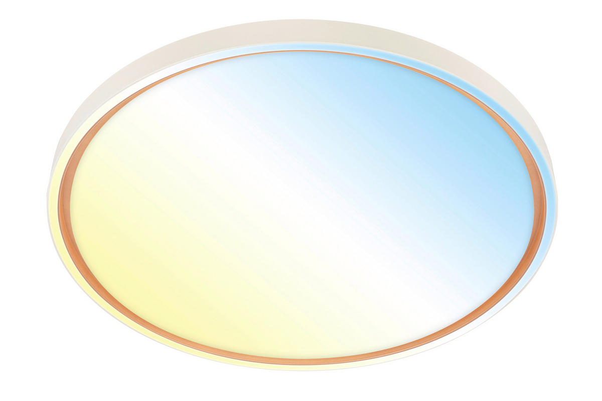 STROPNA LED-SVETILKA  INO /5200 lm/3000-6500 K// - svetlo rjava/svetlo siva, Basics, kovina/umetna masa (49,5/6,5cm)