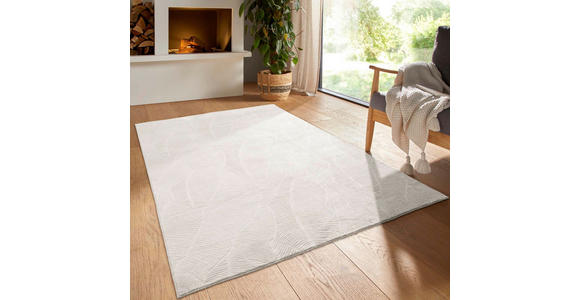 WEBTEPPICH 240/340 cm Homestyle Creme  - Creme, Design, Textil (240/340cm) - Novel