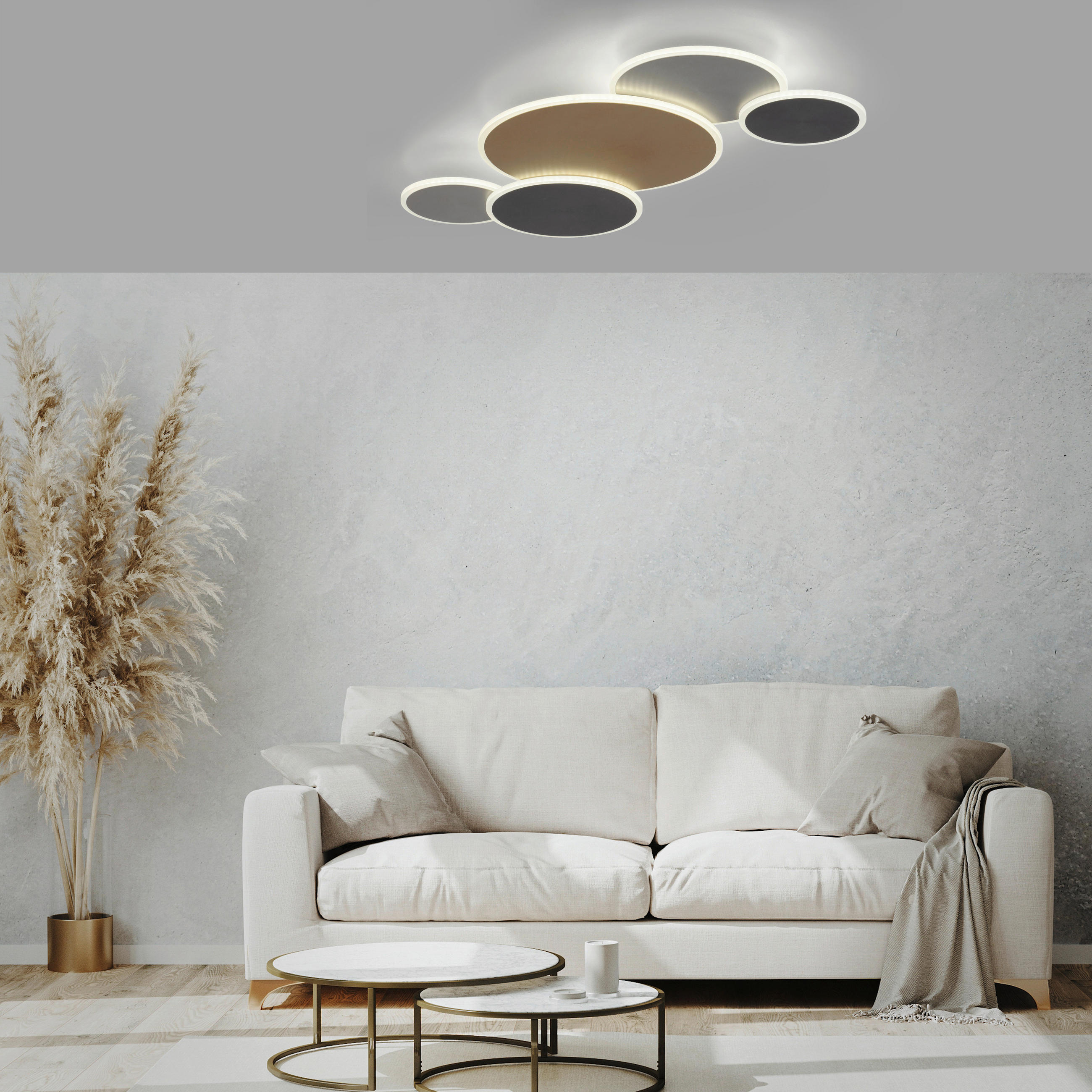 LED-DECKENLEUCHTE Q-Piato 85/50,5/6,5 cm   - Design, Metall (85/50,5/6,5cm) - Paul Neuhaus