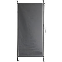 SICHTSCHUTZ - Anthrazit, MODERN, Kunststoff/Metall (120/316/270cm)