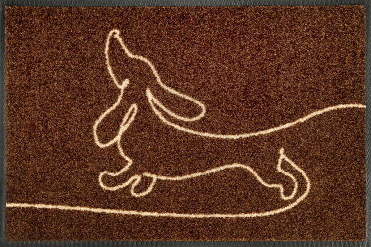 FUßMATTE 40/60 cm Daydreamer  - Braun, Trend, Kunststoff/Textil (40/60cm) - wash+dry