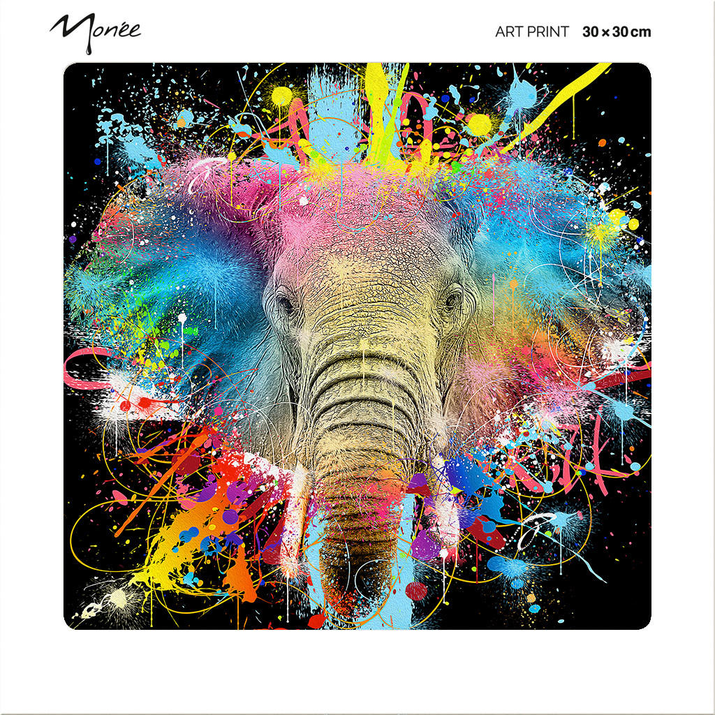 KUNSTDRUCK Tiere Multicolor, Schwarz 30/30 cm  - Multicolor/Schwarz, Basics, Papier (30/30cm) - Monee