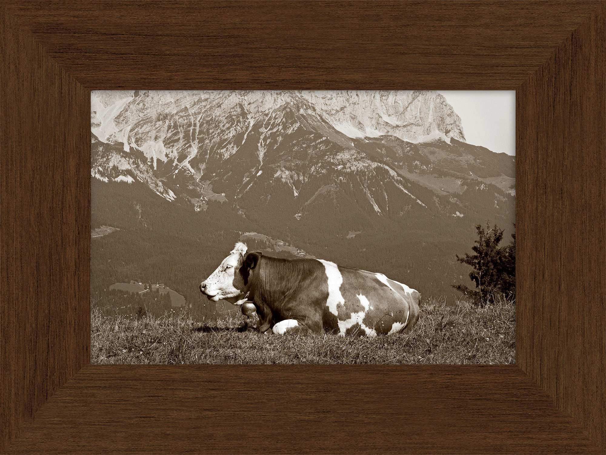 KUNSTDRUCK 30/40 cm  - Multicolor/Braun, Natur, Holzwerkstoff (30/40cm) - Monee