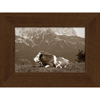 KUNSTDRUCK 30/40 cm  - Multicolor/Braun, Natur, Holzwerkstoff (30/40cm) - Monee