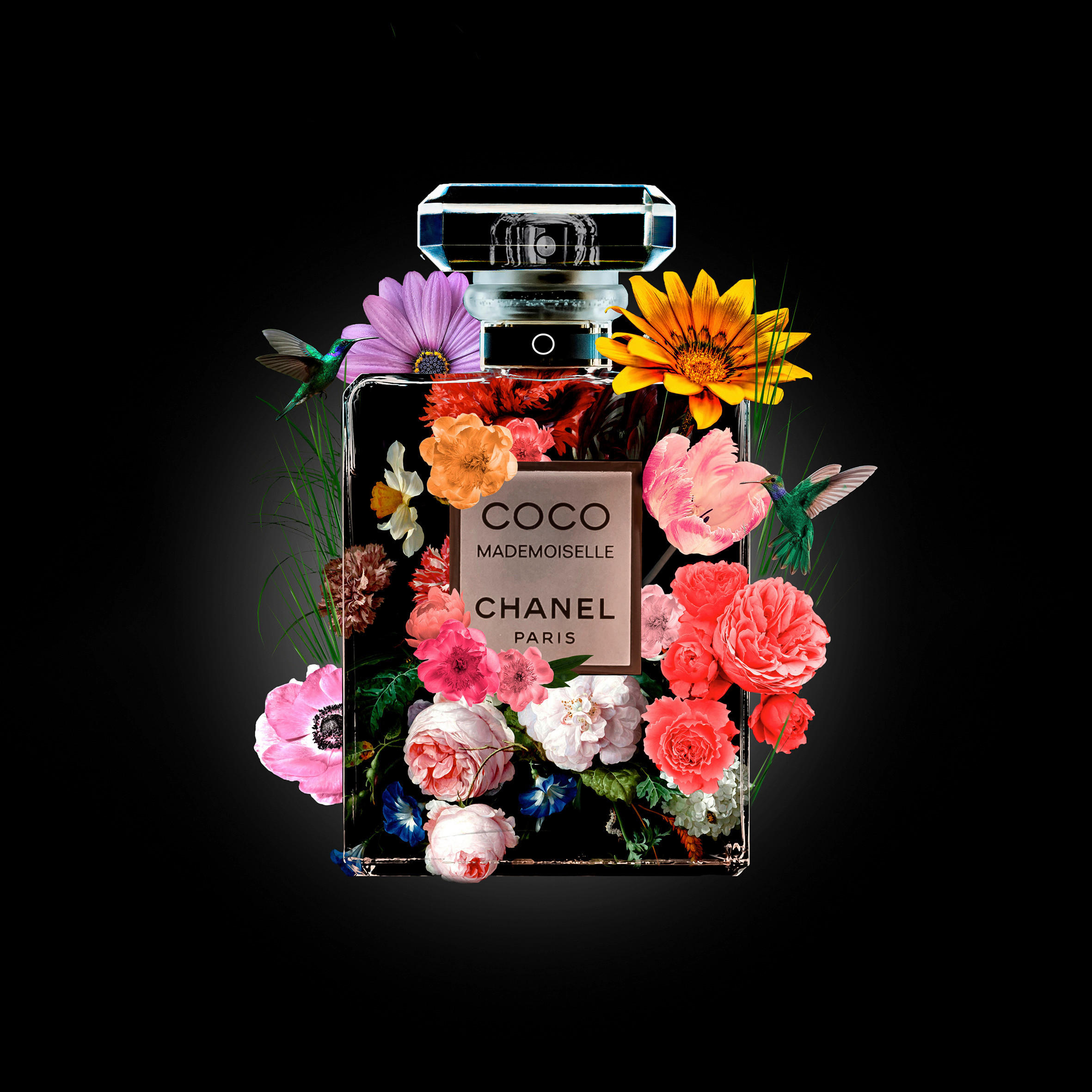 BILD Blumen 100/100 cm  - Multicolor/Schwarz, Design, Kunststoff (100/100cm) - Wandkraft