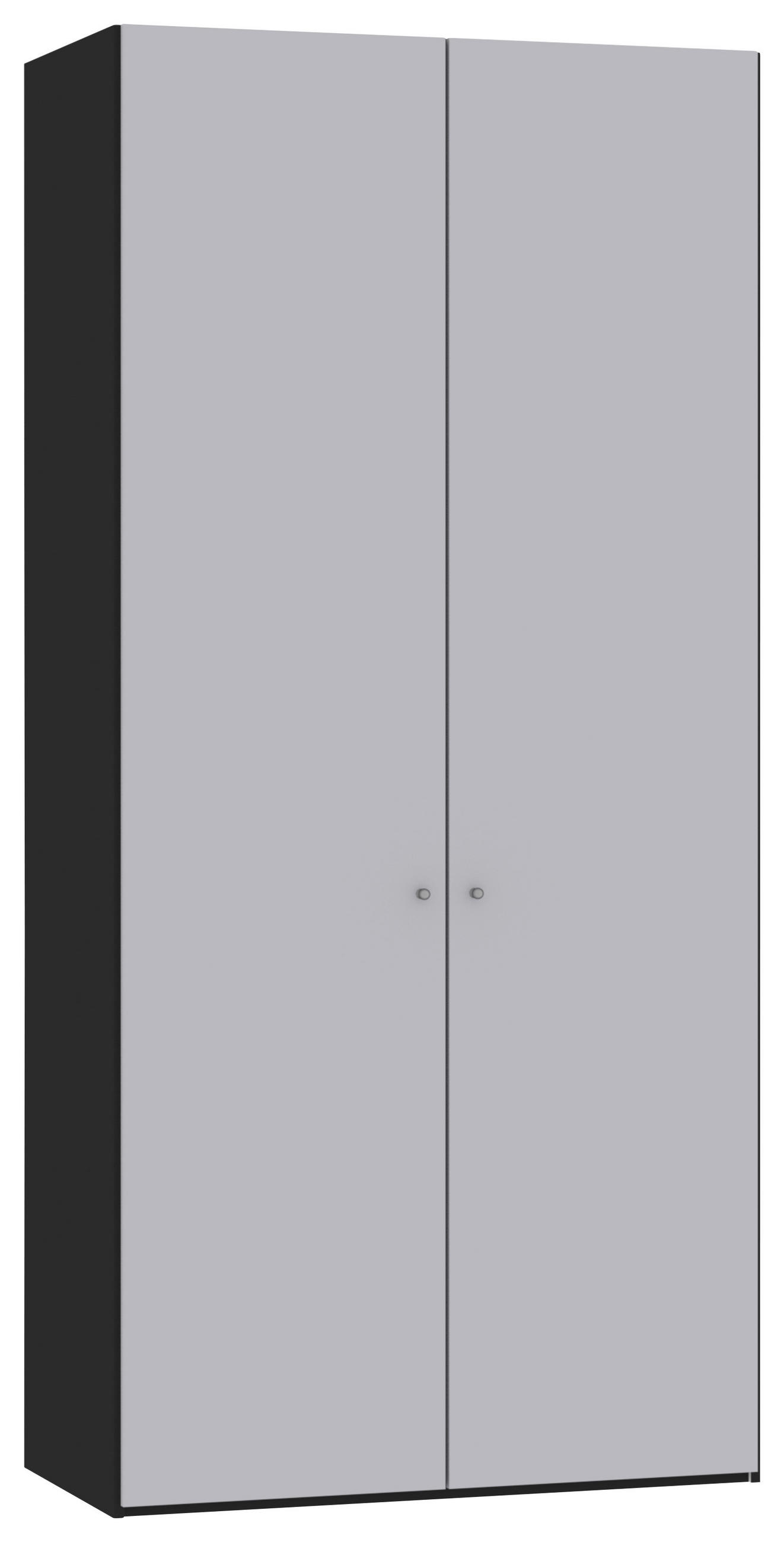 DREHTÜRENSCHRANK 102/220/59 cm 2-türig Schwarz, Hellgrau  - Silberfarben/Hellgrau, Design, Glas/Holzwerkstoff (102/220/59cm) - Jutzler
