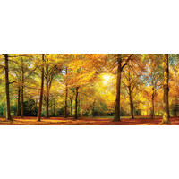 GLASBILD Landschaft & Natur 50/125 cm  - Multicolor, Natur, Glas (50/125cm) - Euroart