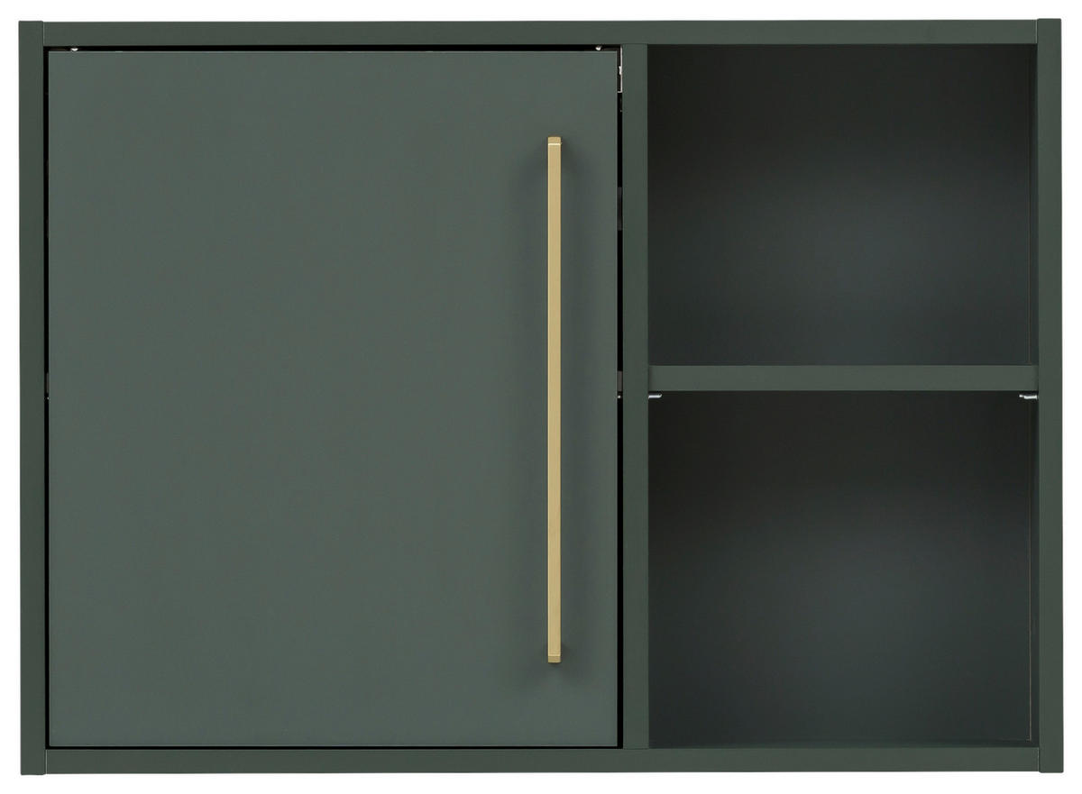HÄNGESCHRANK 66,8/48,4/16 cm  - Waldgrün/Goldfarben, MODERN, Holzwerkstoff/Metall (66,8/48,4/16cm) - Stylife