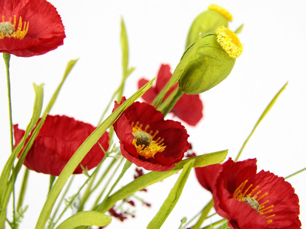 MOHN  - Rot, Basics (47cm)